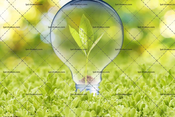 Light Bulb