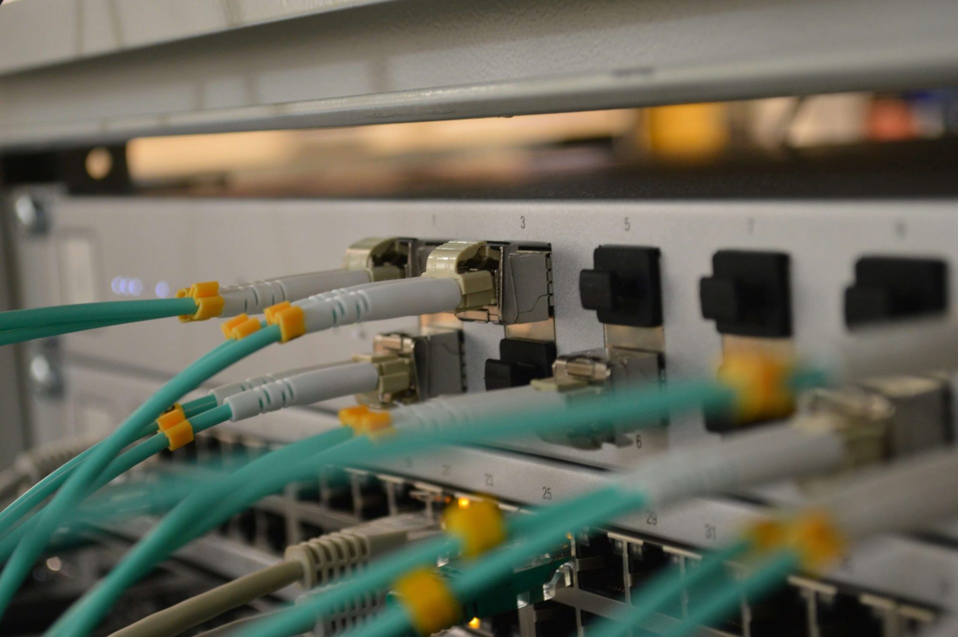 Cavi in fibra ottica collegati alle porte di uno switch di rete