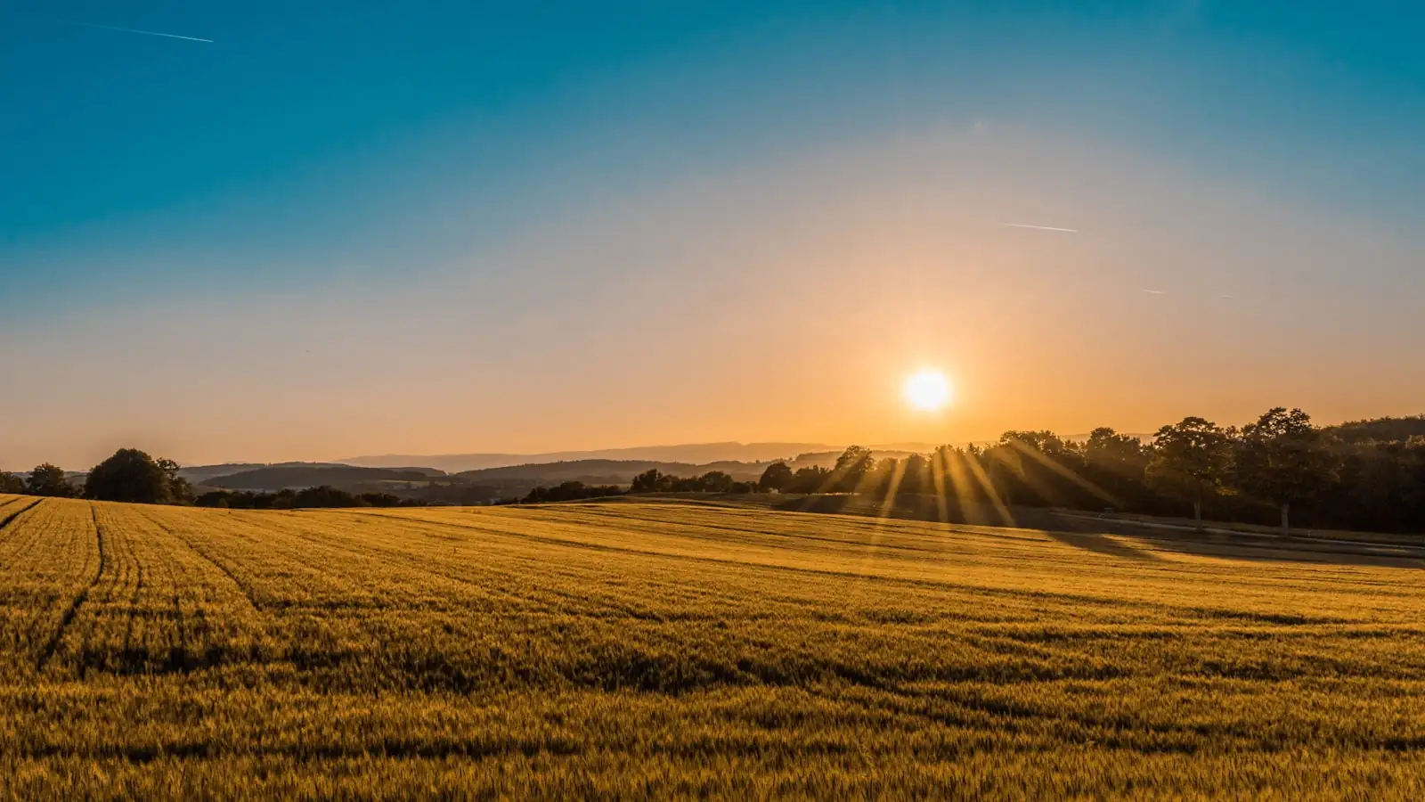 Campagna assolata al tramonto