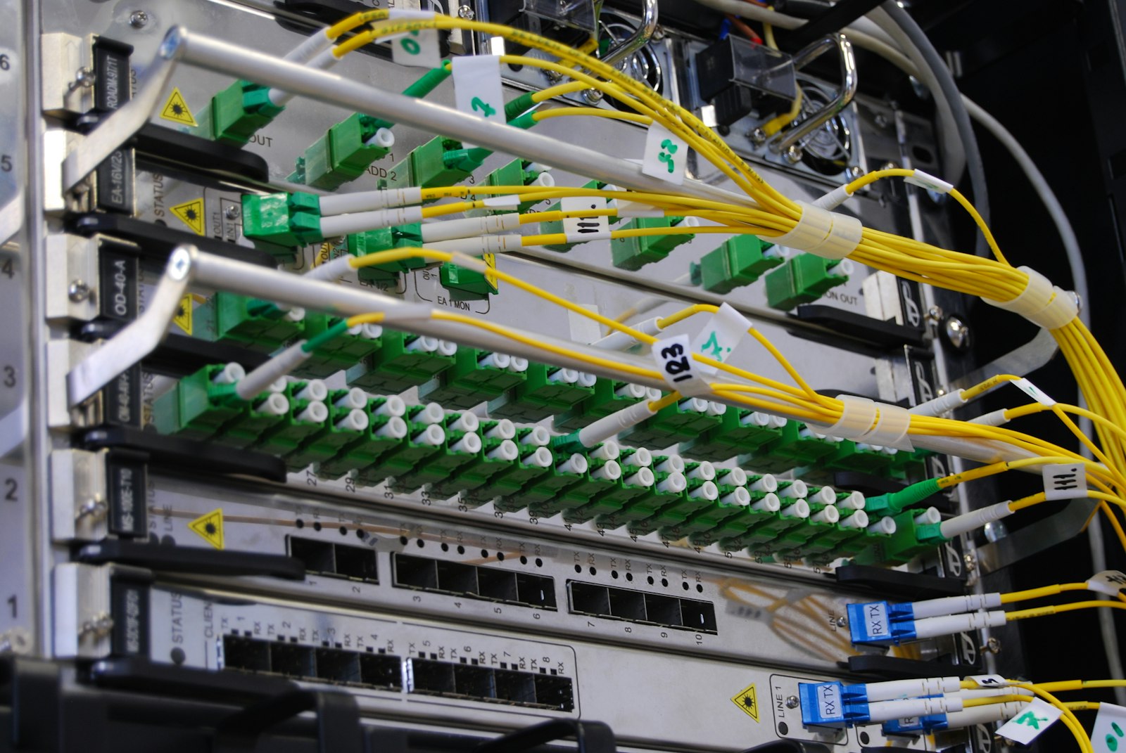 Cavi in fibra ottica collegati a uno switch di rete